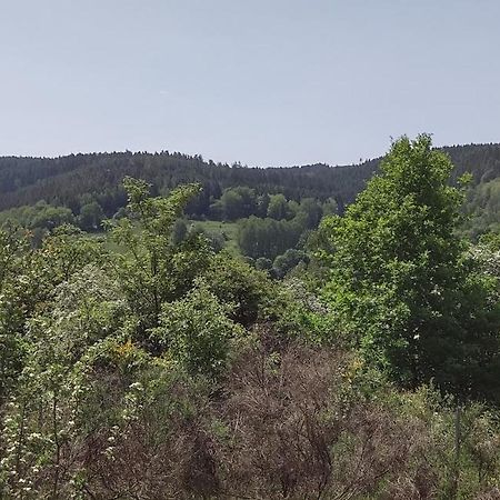 Sessles Waldhaeusschen Dietzhausen Suhl Εξωτερικό φωτογραφία