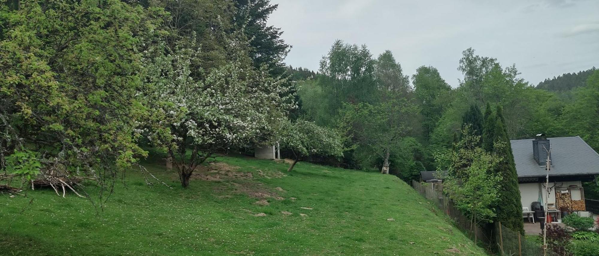 Sessles Waldhaeusschen Dietzhausen Suhl Εξωτερικό φωτογραφία