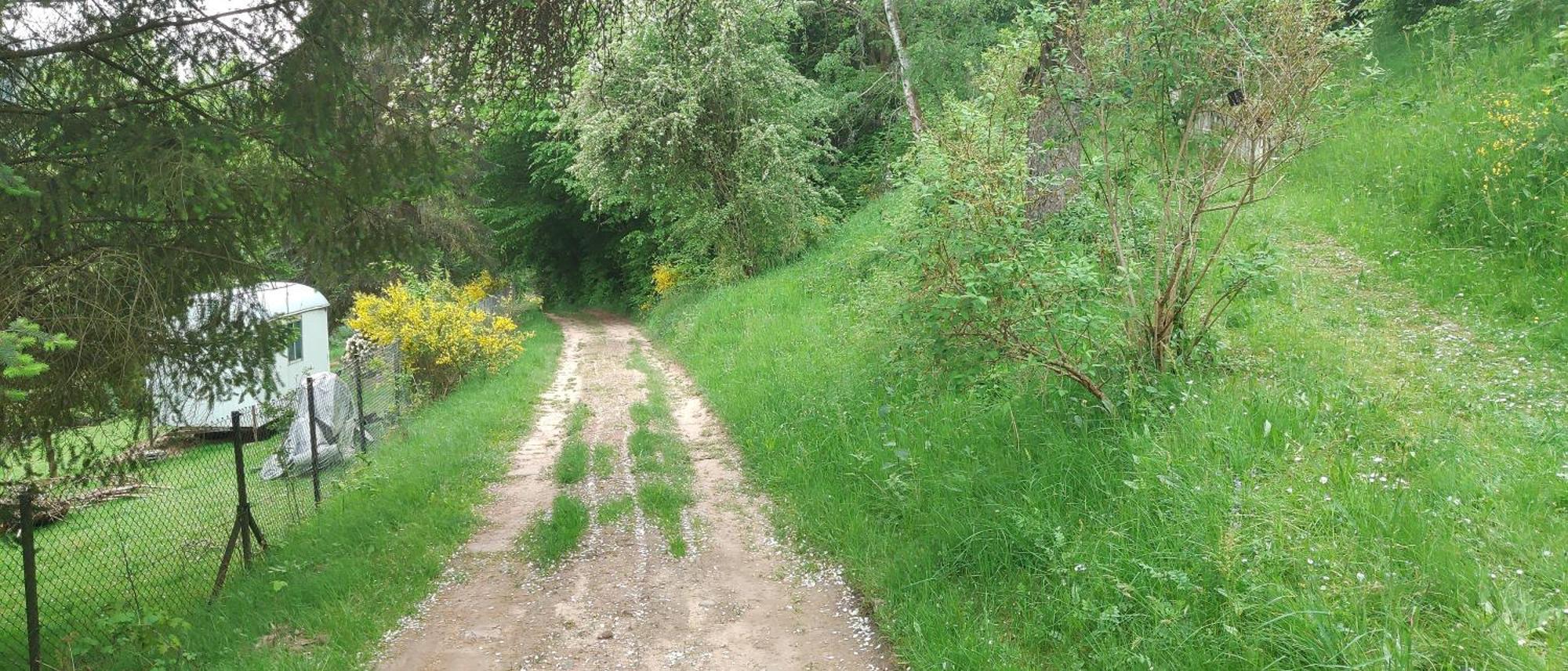 Sessles Waldhaeusschen Dietzhausen Suhl Εξωτερικό φωτογραφία