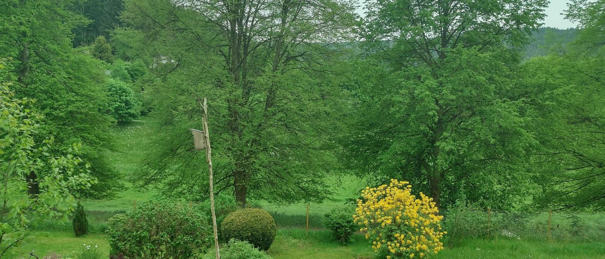 Sessles Waldhaeusschen Dietzhausen Suhl Εξωτερικό φωτογραφία